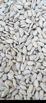 Семичка ва Ядро