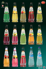 Дистрибьюторлик