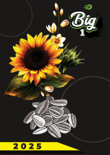 "BIG1" юқори си