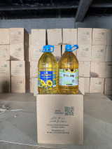 Россия, Қозоғис