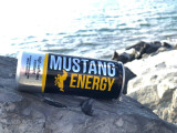"MUSTANG ENERGY